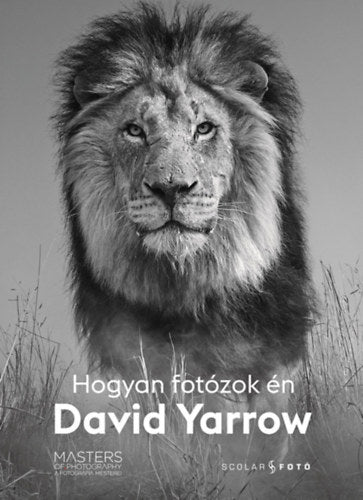 Hogyan fotózok én - David Yarrow - David Yarrow