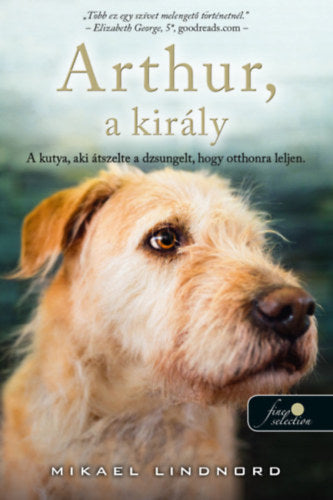 Arthur, a király - Lindnord, Mikael