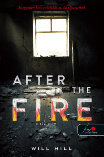 After the Fire - A tűz után - Hill, Will