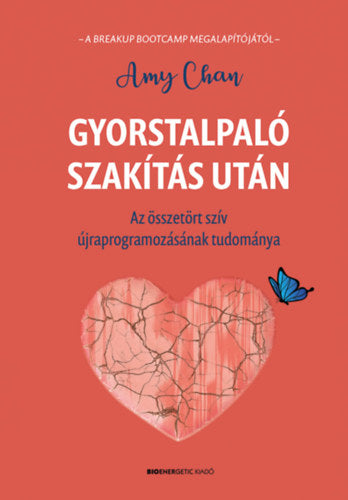 Gyorstalpaló szakítás után - Chan, Amy
