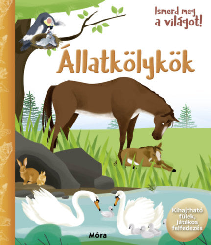 Ismerd meg a világot! - Állatkölykök - 