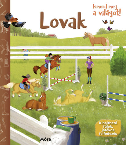 Ismerd meg a világot! - Lovak - 