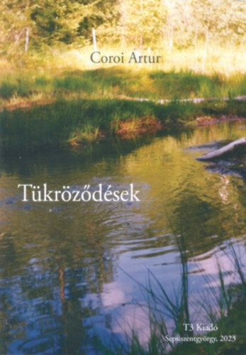 Tükröződések - Coroi Artur