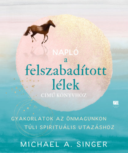 Napló a Felszabadított lélek című könyvhöz - Michael A. Singer