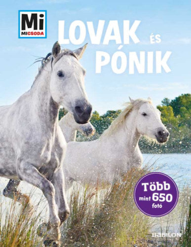 Lovak és pónik - Mi Micsoda - Silke Behling