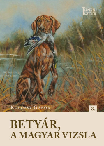 Betyár, a magyar vizsla - Kolossy Gábor