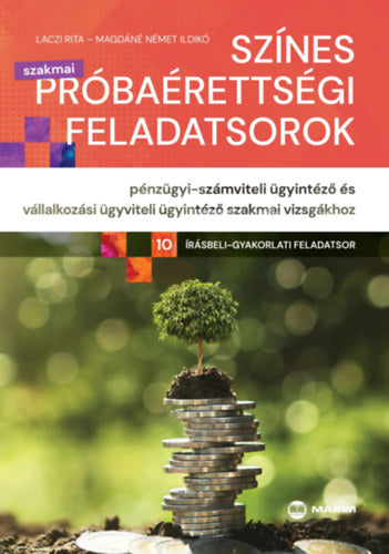 Színes próbaérettségi feladatsorok pénzügyi-számviteli ügyintéző és vállalkozási ügyviteli ügyintéző szakmai vizsgákhoz - Laczi Rita, Magdáné Német Ildikó
