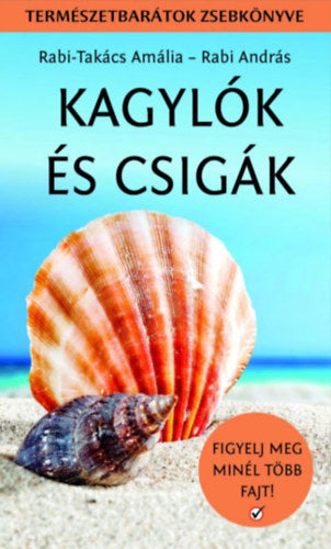 Kagylók és csigák - Rabi-Takács Amália, Rabi András