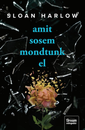 Amit sosem mondtunk el - Sloan Harlow