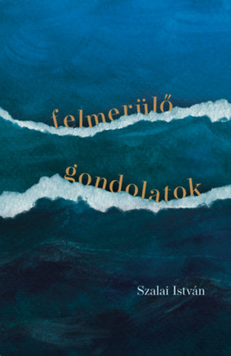 Felmerülő gondolatok - Szalai István