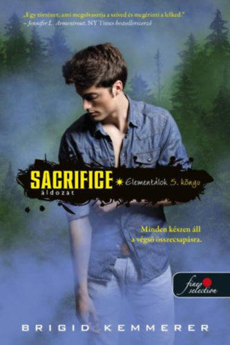 Sacrifice - Áldozat - Brigid Kemmerer
