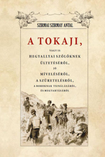 A Tokaji, vagyis Hegyallyai szőlőknek ültetéséről, jó míveléséről, a szüretelésről - Szirmai Szirmay Antal