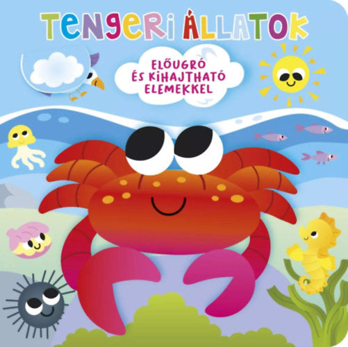Ki bújt el? Tengeri állatok - 
