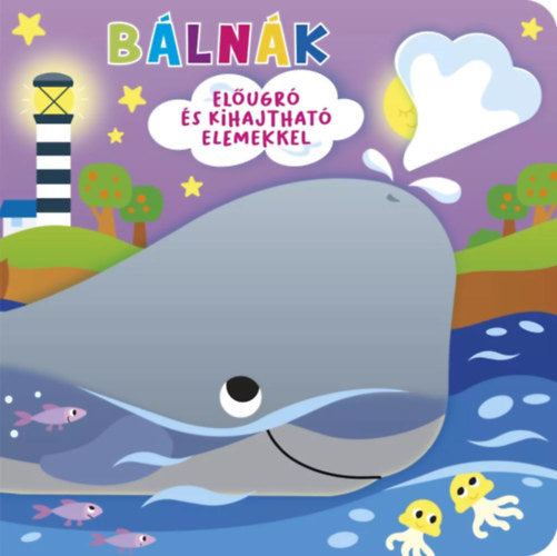 Ki bújt el? Bálnák - 