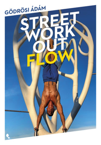 Street workout flow - Gödrösi Ádám