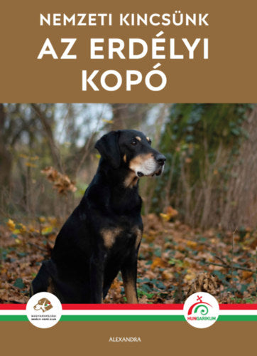 Az erdélyi kopó - 