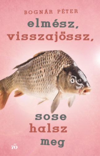 Elmész, visszajössz, sose halsz meg - Bognár Péter