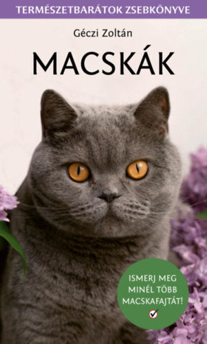 Macskák - Géczi Zoltán