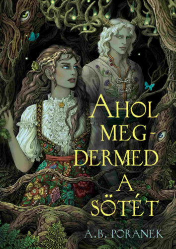 Ahol megdermed a sötét - A. B. Poranek