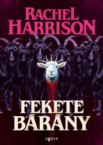 Fekete bárány