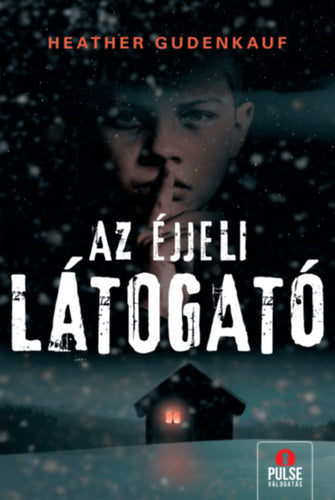 Az éjjeli látogató - Gudenkauf, Heather