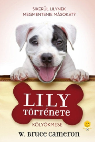 Lily története