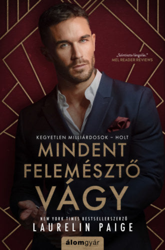Mindent felemésztő vágy - Laurelin Paige