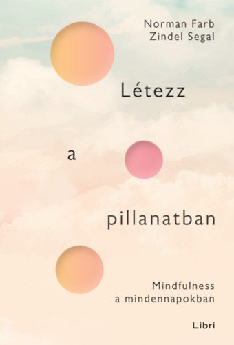 Létezz a pillanatban - Zindel Segal, Norman Farb