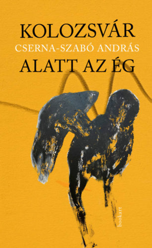 Kolozsvár alatt az ég