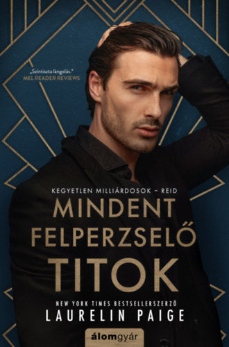 Mindent felperzselő titok - Laurelin Paige