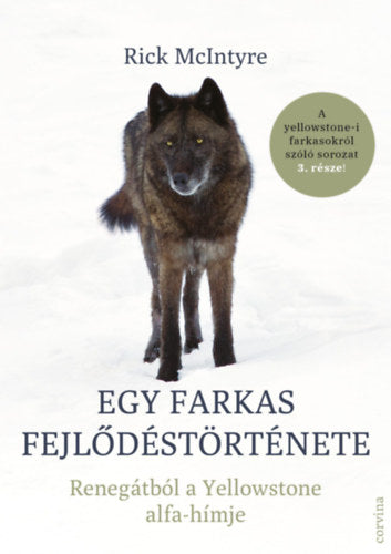 Egy farkas fejlődéstörténete - Rick McIntyre