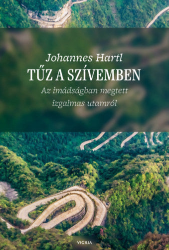 Tűz a szívemben - Dr. Johannes Hartl