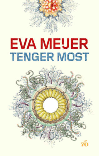 Tenger Most