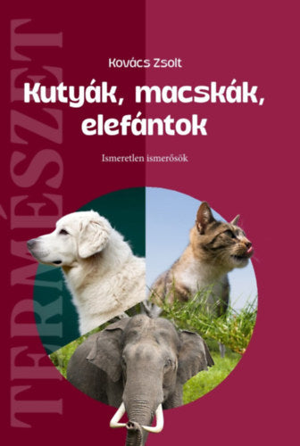 Kutyák, macskák, elefántok - Kovács Zsolt