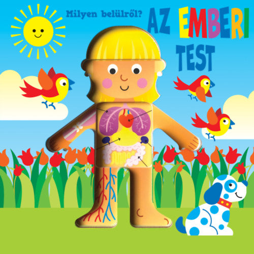 Milyen belülről - Az emberi test - 