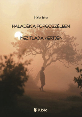 Haladék a forgószélben
